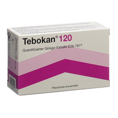 TEBOKAN Filmtabl 120 mg 90 Stk